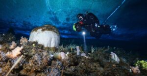 Anna Vesanens Expedition zur Antarktis: Ein Traum wird Wirklichkeit
