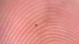 Autonome Mikroroboter überwinden die Grenzen der Robotik nach 40 Jahren