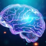 Blutfluss und Hirnaktivität: Neue Erkenntnisse aus der Forschung