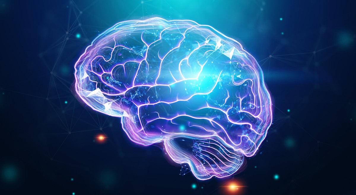 Blutfluss und Hirnaktivität: Neue Erkenntnisse aus der Forschung