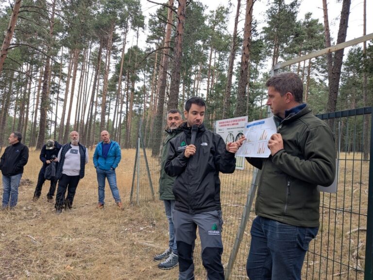 Der Puerto de Bronchales: Ein lebendes Labor für die Auswirkungen der Forstwirtschaft auf die Mykologie