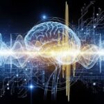 Die Anpassungsfähigkeit des menschlichen Gehirns bei der Sprachverständnis