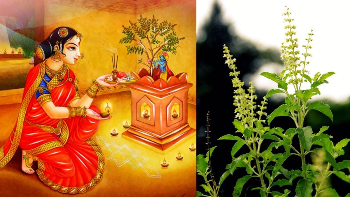 Die Bedeutung der Tulsi Pflanze im Sanatana Dharma