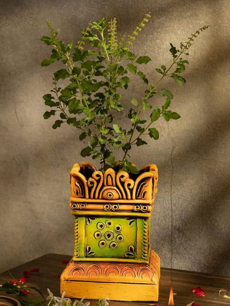 Die Bedeutung und Pflege von Tulsi im Hinduismus