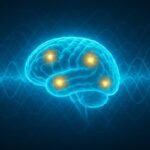 Die Beziehung zwischen Bewusstsein und dem Nullpunkfeld