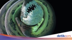 Die Entdeckung eines riesigen prähistorischen Schlangenfossils in Indien