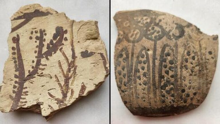 Die ersten pflanzlichen Darstellungen in der Geschichte der Menschheit