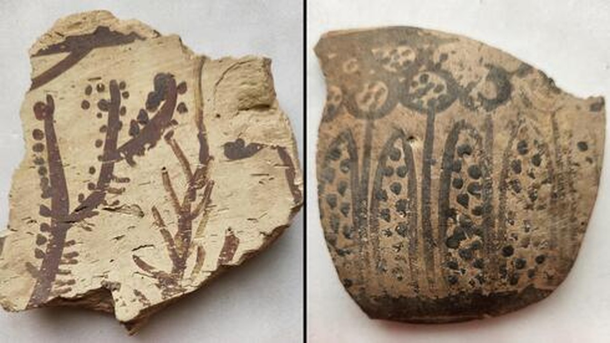 Die ersten pflanzlichen Darstellungen in der Geschichte der Menschheit