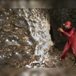Die größte Spinne der Welt: Ein außergewöhnlicher Fund in der Schwefelhöhle