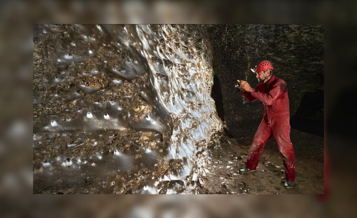 Die größte Spinne der Welt: Ein außergewöhnlicher Fund in der Schwefelhöhle
