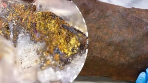 Die Gründe, warum dein Hund seinen Kopf neigt, wenn du mit ihm sprichst