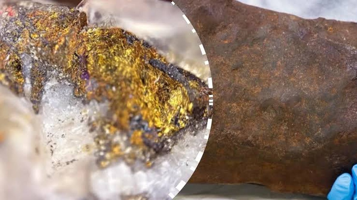 Die Gründe, warum dein Hund seinen Kopf neigt, wenn du mit ihm sprichst