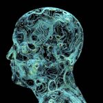 Die Kunst der Aufforderung im Kontext der Beratung