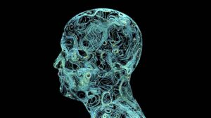 Die Kunst der Aufforderung im Kontext der Beratung