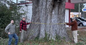Die Rolle der "Baum Amigos" in Virginia: Nationale Champions unter den Bäumen