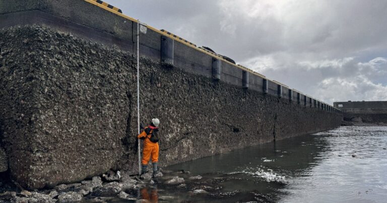 Die Rolle der Geologie in der Erdbebenforschung an der Noto-Halbinsel