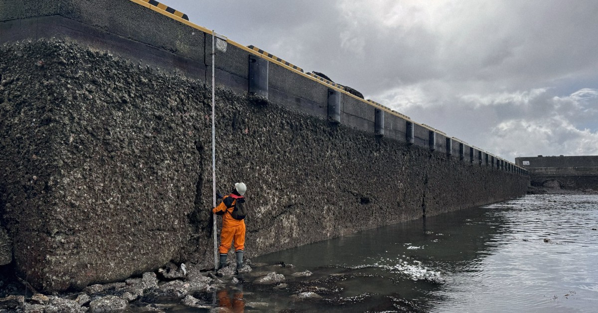 Die Rolle der Geologie in der Erdbebenforschung an der Noto-Halbinsel