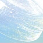 Die Rolle eines Anwalts in der Mathematikbildung: Eine kritische Perspektive