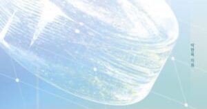 Die Rolle eines Anwalts in der Mathematikbildung: Eine kritische Perspektive