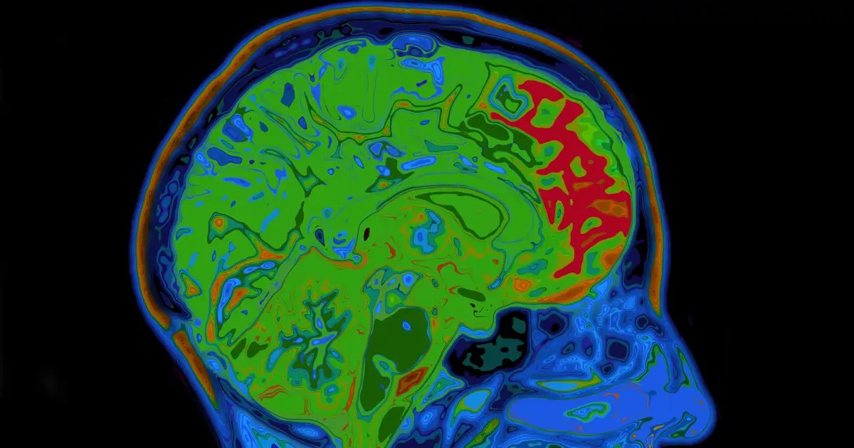 Die Rolle von KCC2 im Lernverhalten und bei Abhängigkeiten