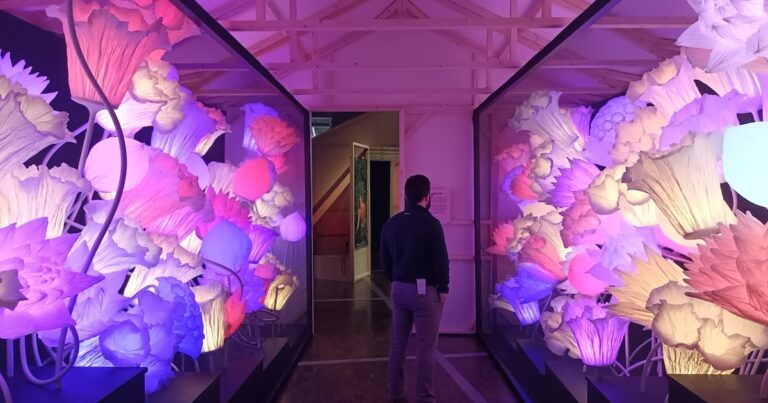 Die Strategie des Maiglöckchens und das Monster der Brüsseler Kohl: Die verborgene Wissenschaft des Gärtnerns