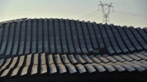 Durchbrüche in der Wissenschaft 2025: Von den Fortschritten in der CRISPR-Technologie bis zum Durchbruch in der erneuerbaren Energietechnik