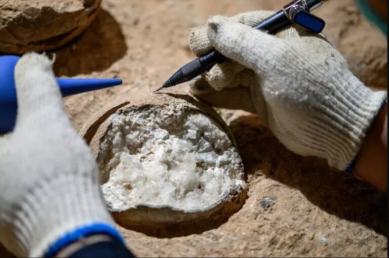 Erstmals direkte Datierung von Dinosaurier-Eiern erfolgreich