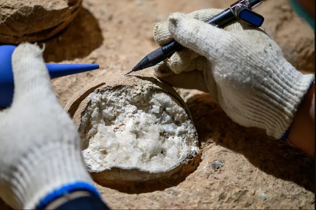 Erstmals direkte Datierung von Dinosaurier-Eiern erfolgreich