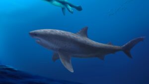 Frühe Giganten: Eine Studie zu Vorgängern der modernen Haie