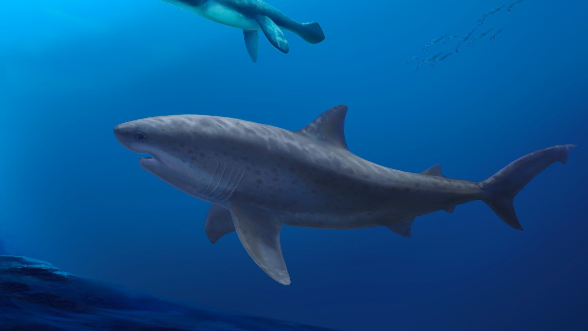 Frühe Giganten: Eine Studie zu Vorgängern der modernen Haie