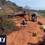Historische Entdeckung in Córdoba: Fossilrest von großer Bedeutung entdeckt