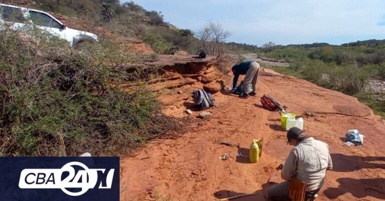 Historische Entdeckung in Córdoba: Fossilrest von großer Bedeutung entdeckt