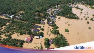 Ökologische Katastrophe auf der Halbinsel Sumatra