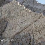 Spuren von Dinosauriern in den Bergen Norditaliens entdeckt