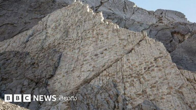 Spuren von Dinosauriern in den Bergen Norditaliens entdeckt