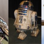 Vögel, die R2-D2 imitieren können