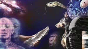 Wissenschaft im Jahr 2025