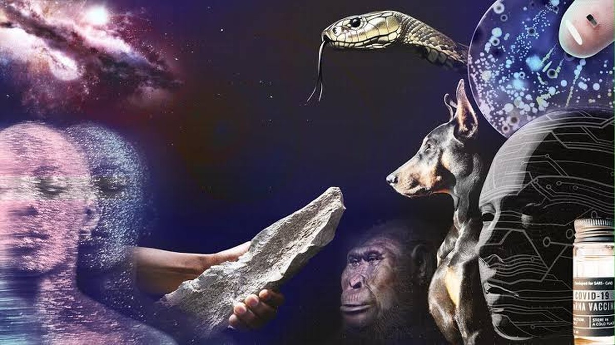 Wissenschaft im Jahr 2025