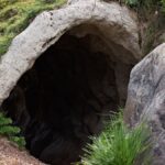 Wissenschaftler entdecken in Spanien eine neue Tierart mit über 100 Millionen Jahren