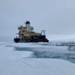 Wissenschaftler entdecken "geheimes Leben" unter dem arktischen Eis