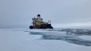 Wissenschaftler entdecken "geheimes Leben" unter dem arktischen Eis