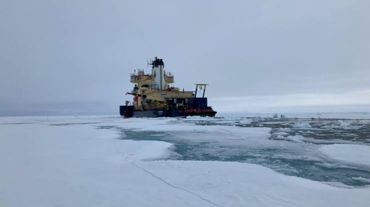 Wissenschaftler entdecken "geheimes Leben" unter dem arktischen Eis