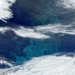 Zusammenhang zwischen Unterwasser-Erdbeben und Phytoplanktonblüten in der Antarktis