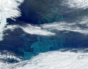 Zusammenhang zwischen Unterwasser-Erdbeben und Phytoplanktonblüten in der Antarktis