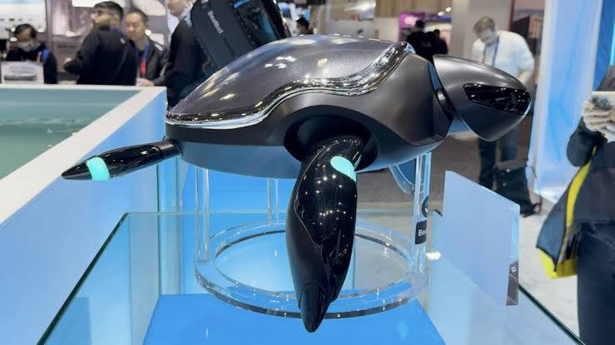 Beatbots RoboTurtle: Ein innovativer maritimer Roboter