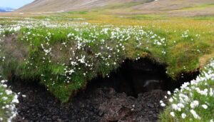 Der Zusammenbruch des Bodens auf Svalbard