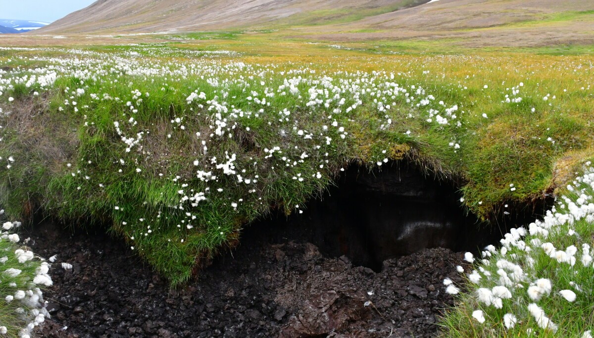 Der Zusammenbruch des Bodens auf Svalbard