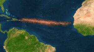 Die Auswirkungen von Sargassum auf den Atlantischen Ozean