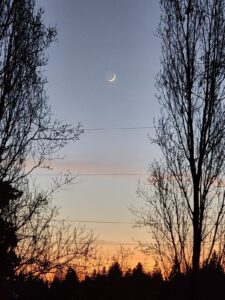 Die bezaubernde Rückkehr der Nordlichter