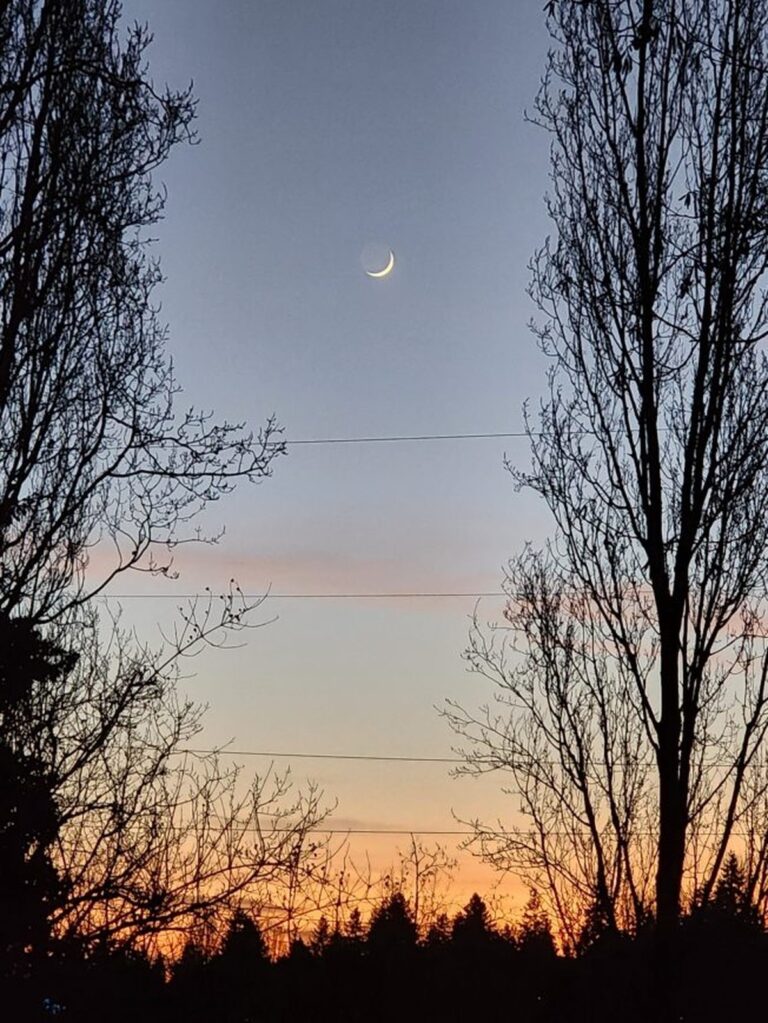 Die bezaubernde Rückkehr der Nordlichter